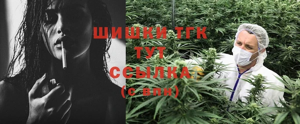 ешки Алзамай