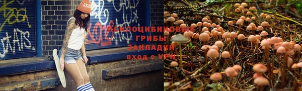 эйфоретик Абинск