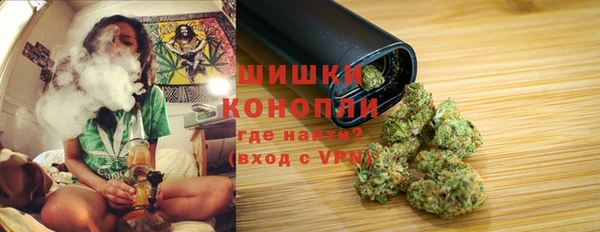 ешки Алзамай