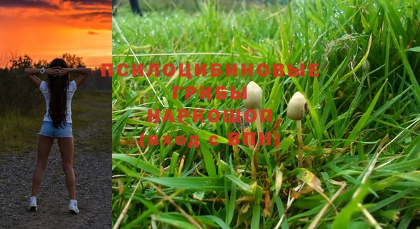 ешки Алзамай