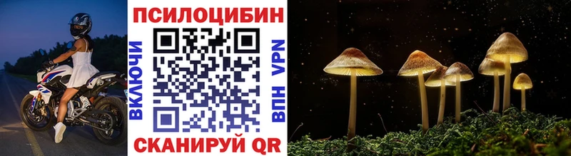 Псилоцибиновые грибы Magic Shrooms  ссылка на мегу зеркало  Абакан 